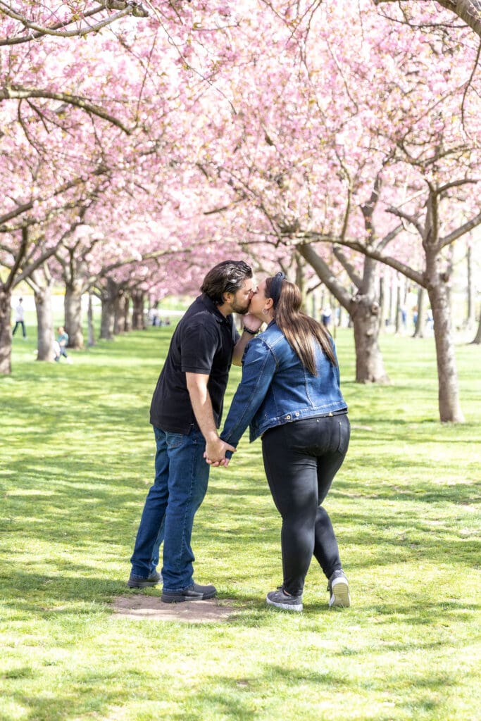 Newlywed couple take spring anniversary photos with the cherry blossoms at the Brooklyn Botanic Garden in Brooklyn, NY.