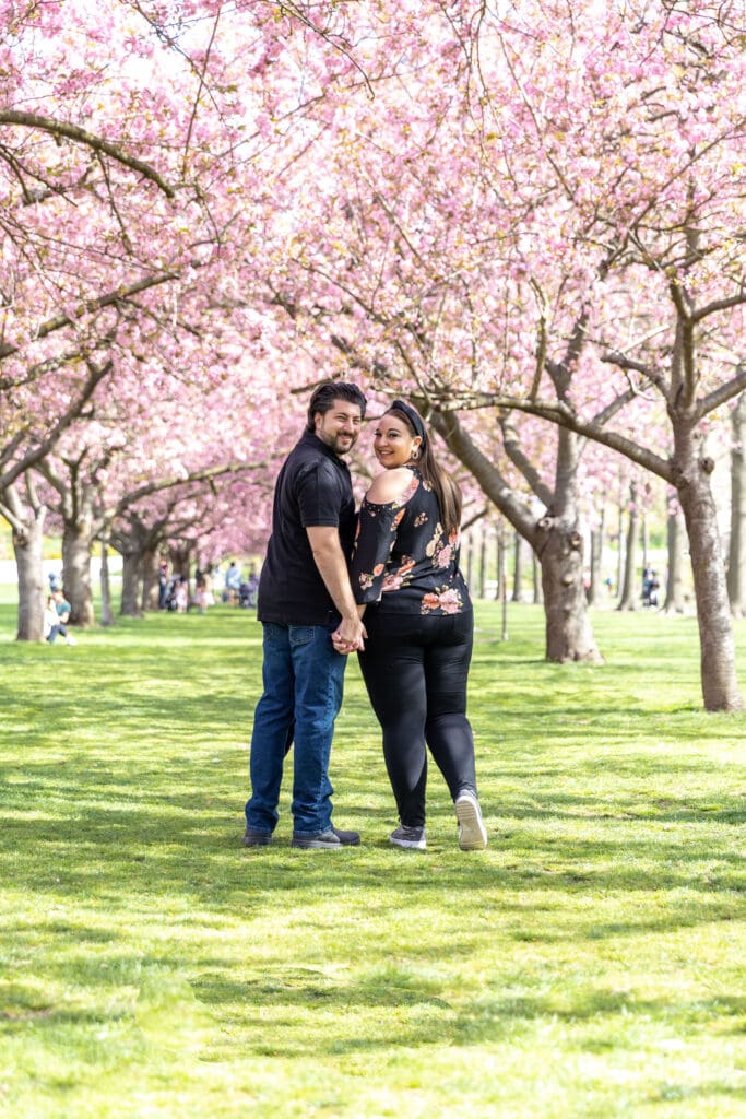 Newlywed couple take spring anniversary photos with the cherry blossoms at the Brooklyn Botanic Garden in Brooklyn, NY.