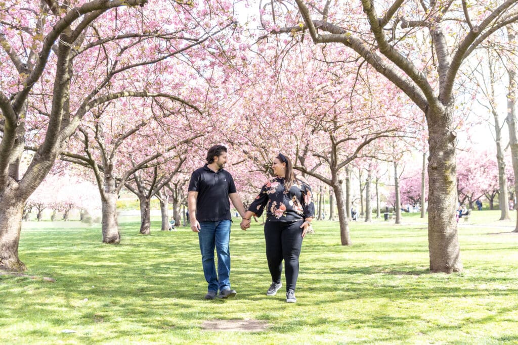 Newlywed couple take spring anniversary photos with the cherry blossoms at the Brooklyn Botanic Garden in Brooklyn, NY.