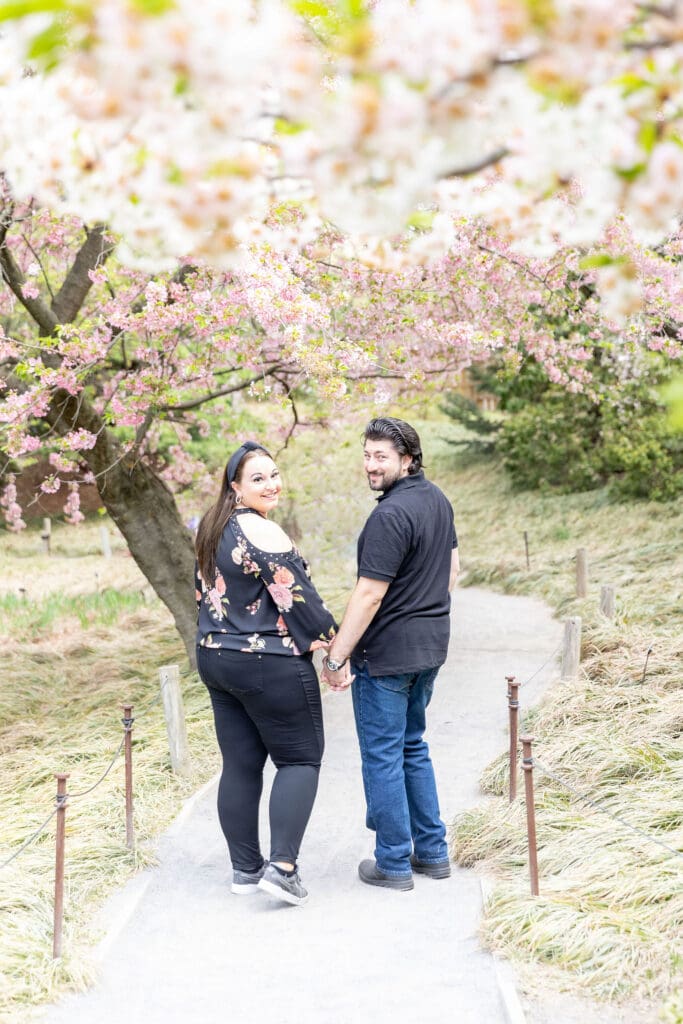Newlywed couple take spring anniversary photos in the Japanese Garden with the cherry blossoms at the Brooklyn Botanic Garden in Brooklyn, NY.