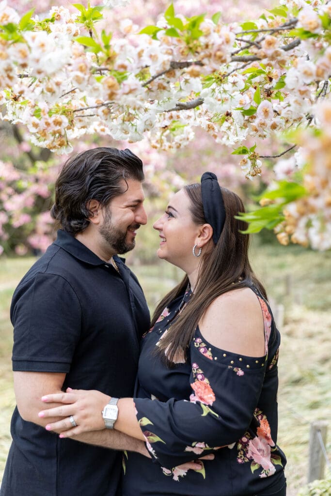 Newlywed couple take spring anniversary photos in the Japanese Garden with the cherry blossoms at the Brooklyn Botanic Garden in Brooklyn, NY.