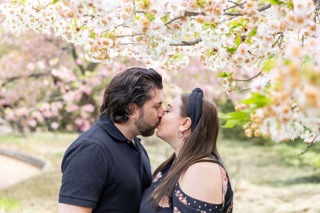 Newlywed couple take spring anniversary photos in the Japanese Garden with the cherry blossoms at the Brooklyn Botanic Garden in Brooklyn, NY.