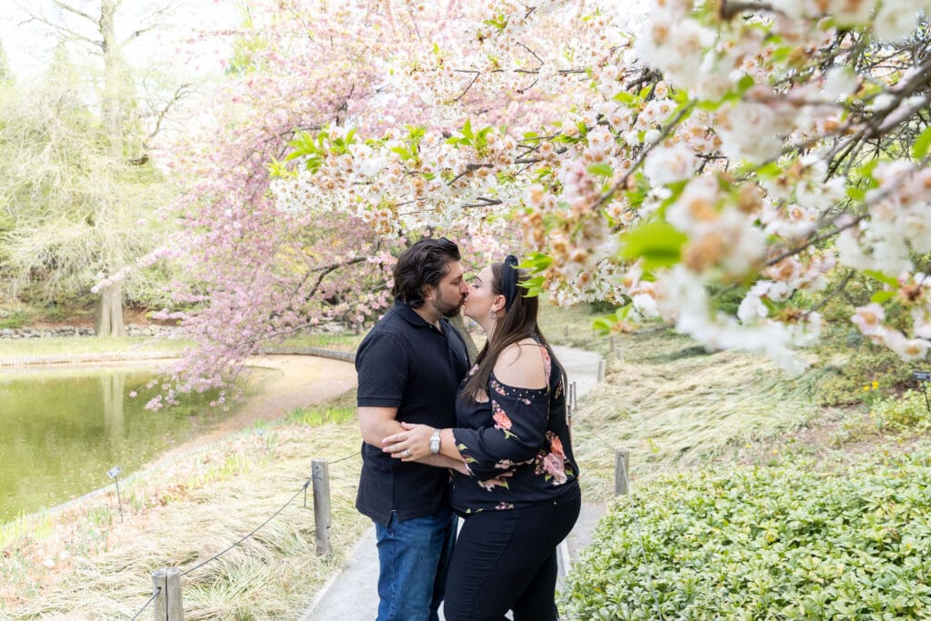 Newlywed couple take spring anniversary photos in the Japanese Garden with the cherry blossoms at the Brooklyn Botanic Garden in Brooklyn, NY.