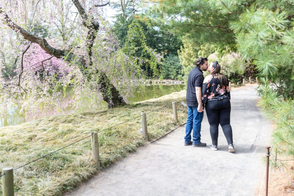 Newlywed couple take anniversary photos in the Japanese Garden with the cherry blossoms at the Brooklyn Botanic Garden in Brooklyn, NY.