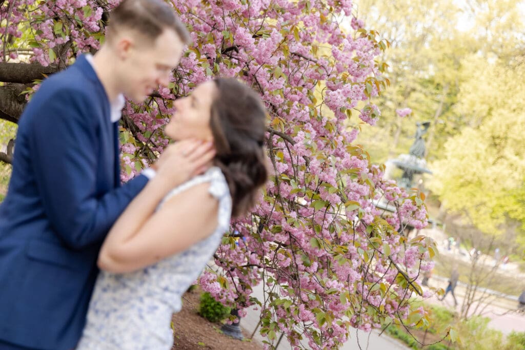 Slightly blurry photo of engaged couple embracing near the spring cherry blossoms in Central Park.