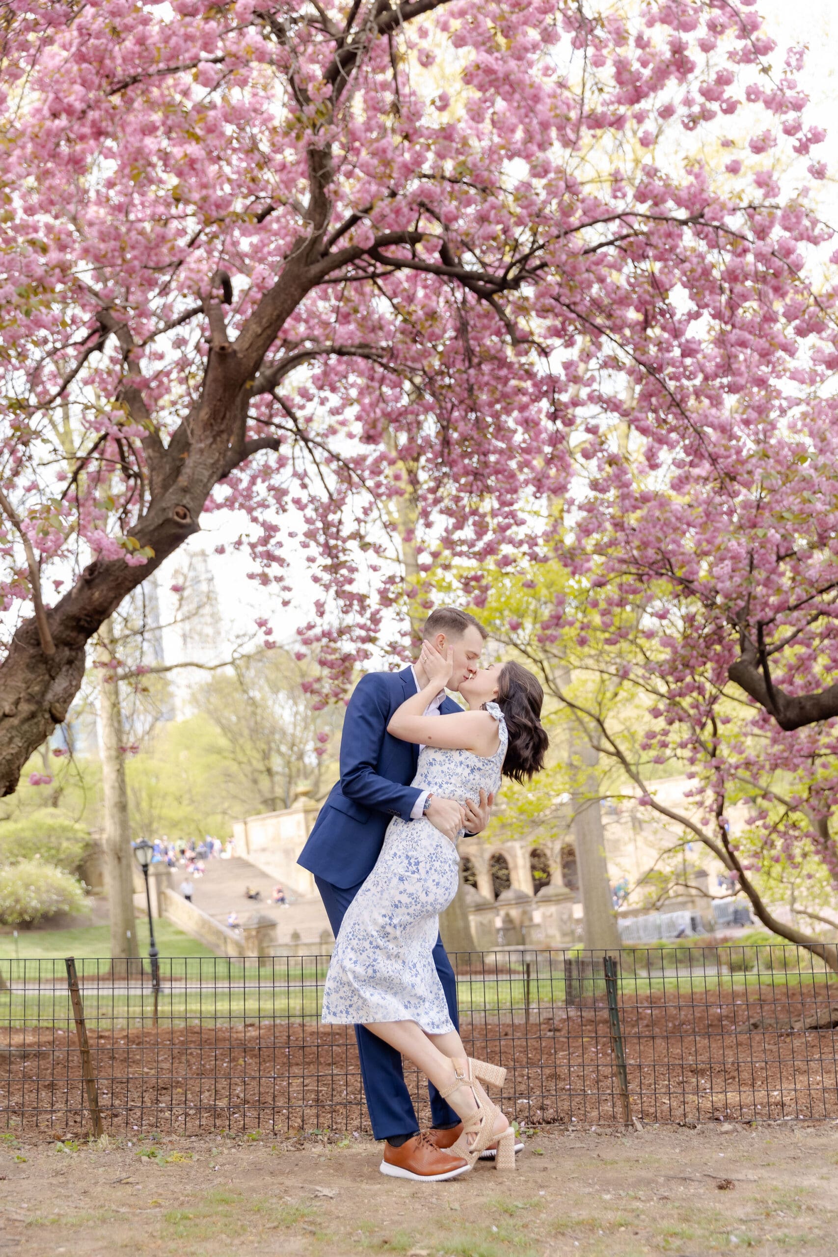Engaged couple kiss in a dip pose near the spring cherry blossoms in Central Park.