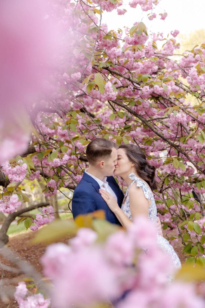 Engaged couple kiss near the spring cherry blossoms in Central Park.